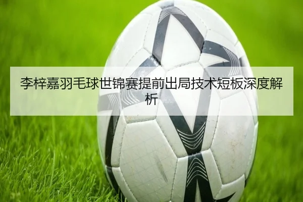 李梓嘉羽毛球世锦赛提前出局技术短板深度解析 | Nangong